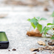 Illustration for article titled Motorola Droid X Review